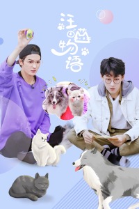 汪喵物语封面图