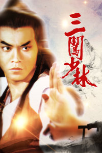 三闯少林封面图