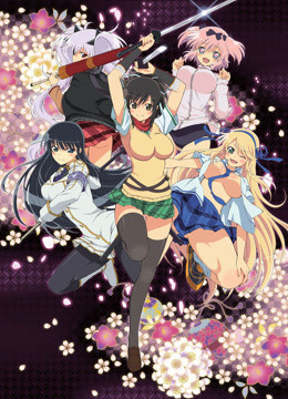 闪乱神乐封面图