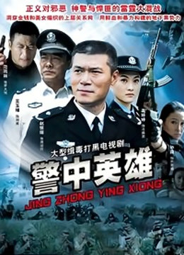警中英雄封面图