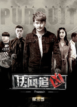 法网追凶第三季封面图