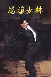 花旗少林封面图
