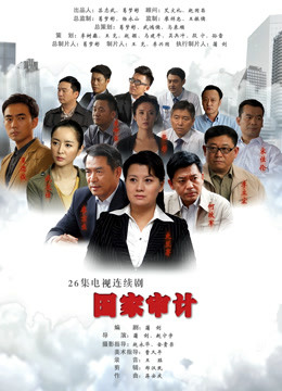 国家审计封面图