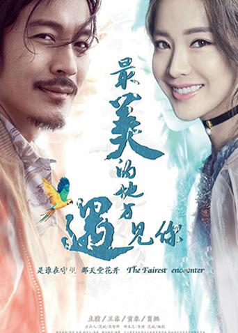 最美的地方遇见你封面图