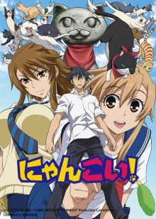 猫愿三角恋封面图