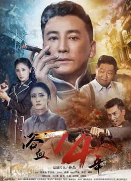 浴血十四年封面图