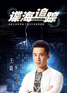 谍海追踪封面图