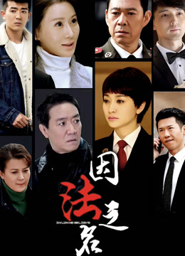 因法之名封面图