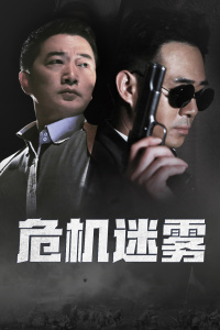 危机迷雾封面图