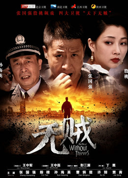 无贼封面图