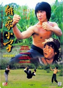 杂家小子封面图