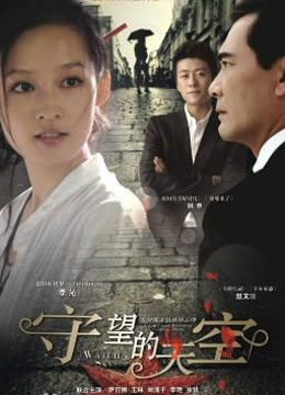 守望的天空封面图