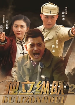 独立纵队2封面图