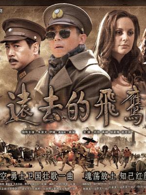 远去的飞鹰封面图