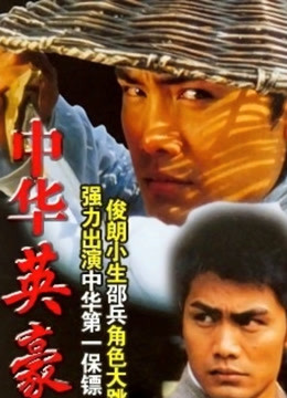 中华英豪封面图