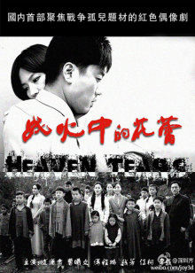 战火中的花蕾封面图