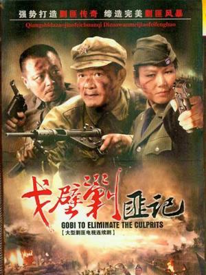 戈壁剿匪记封面图