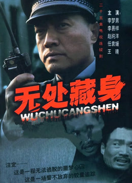 无处藏身封面图