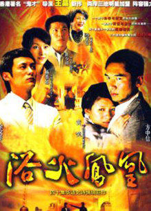 浴火凤凰封面图