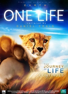 地球生灵封面图