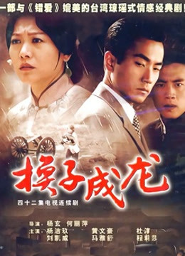 换子成龙封面图