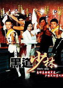 黑道少林封面图