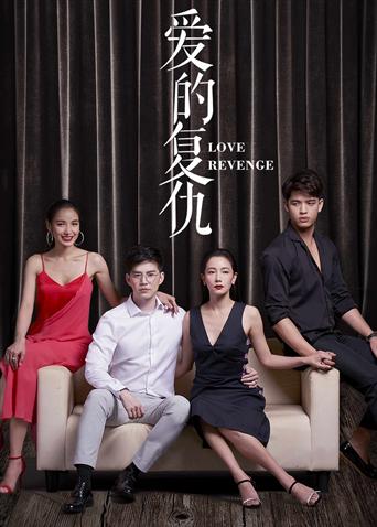 爱的复仇封面图
