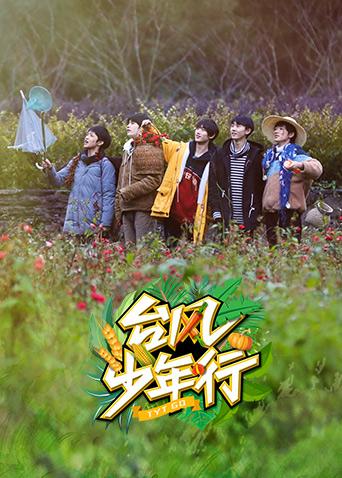 台风少年行封面图