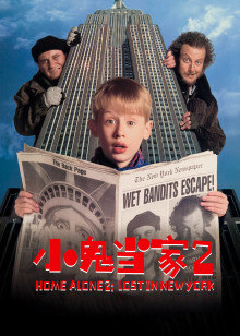 小鬼当家2封面图