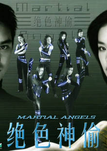 绝色神偷封面图