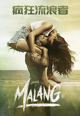 疯狂流浪者封面图
