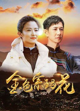 金色索玛花封面图