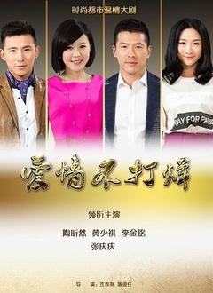 爱情不打烊封面图