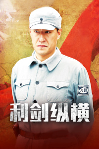 利箭纵横封面图