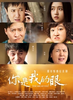 你是我的眼封面图
