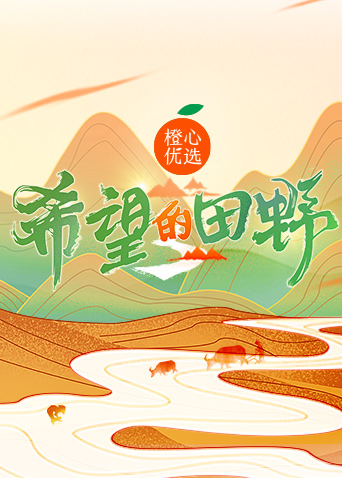 希望的田野封面图