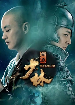 少林问道封面图