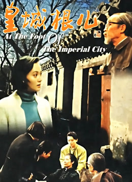 皇城根儿封面图