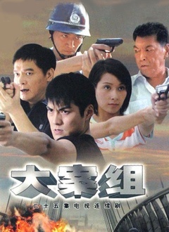 大案组封面图