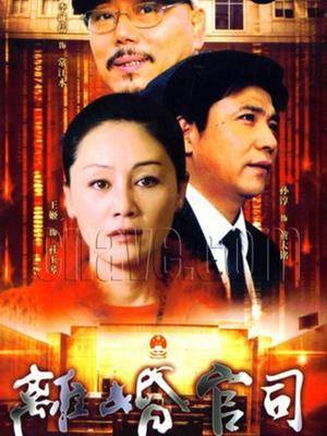 离婚官司封面图