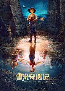 雷米奇遇记封面图