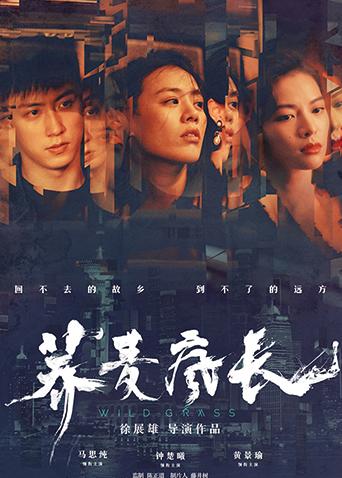 荞麦疯长封面图