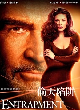 偷天陷阱封面图