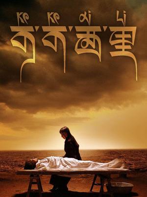 可可西里封面图