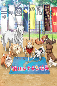 织田肉桂信长封面图