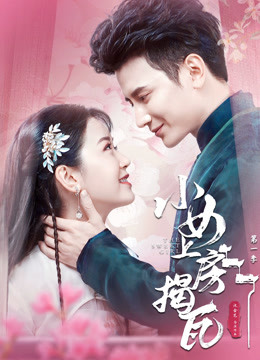 小女上房揭瓦第一季封面图