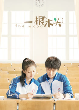 一根木头第一季封面图