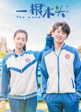 一根木头第二季封面图
