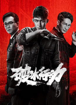 破冰行动封面图