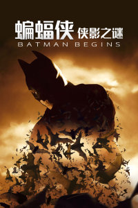 蝙蝠侠：侠影之谜封面图